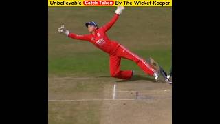 Top 3 Unbelievable Catches Taken By Wicket Keepers #cricket #shorts