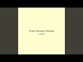 Pulse Harmony Shadow