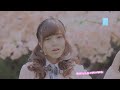 snh48《化作樱花树》mv正式版