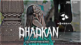 Dhadkan - Mani Chopra (Slowed Reverb) Punjabi Song Lofi