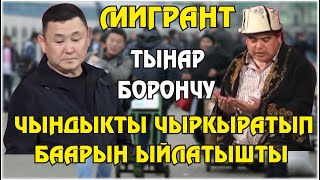 Тынар Борончу 