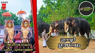 THURAVOOR DEEEPAVALI ULSAVAM 2021 | ഉത്സവകാഴ്ചകളും കാണാകാഴ്ചകളും | തുറവൂർ ദീപാവലി ഉത്സവം