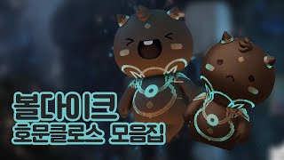 볼다이크 요약: 최강 귀요미 호문클로스｜로스트아크 신대륙