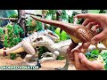 dinosaurs from jurassic world epic velociraptor dimetrodon dilophosaurus pyroraptor and more