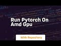 run pytorch on amd gpu