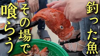 釣った魚をその場で喰らう、至高の海釣りとそれを使った至高の寿司、至高の海鮮パスタの作り方