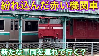 700両以上配置された巨大な基地に現れた？！使い勝手の良い交直両用が牽引され遠く離れた場所に旅立つ