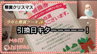 【懸賞】当選しなかったらケーキなしだった。ご褒美きた。