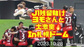 限定ユニで選手入場➡︎ヨモさんと挨拶🤝ミシャ＆荒野拓馬🤗 北海道コンサドーレ札幌🆚横浜FC2023.10.28J1🏟札幌ドーム