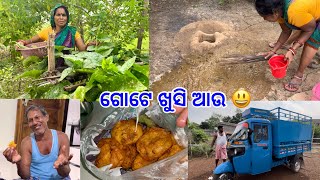 ବାପା ବୋଉଙ୍କ ସହ Evening ଖଟି || Family Vlog @lifeofsridhar9099