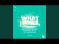 What I Feel (feat. Sharon May Linn) (Rio Dela Duna Vamos Mix) (Arone Clein & Rio Dela Duna vs....