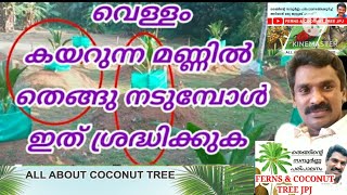 വെള്ളം കയറുന്ന മണ്ണിൽ തെങ്ങ് നടുമ്പോൾ ഈ കാര്യം ശ്രദ്ധിക്കുക