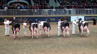 2014 Royal Winter Fair Holstein Show - Grand Champion