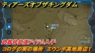 ティアキン　コログの実の場所　エウンポ高地周辺１　武器枠拡張アイテム入手　＃１２９６　【ゼルダの伝説ティアーズオブザキングダム】