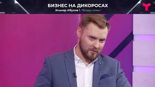 Сколько зарабатывают сборщики дикоросов ?