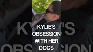 7 and Counting🐶Kylie Jenner's Italian Greyhound Collection Revealed #shorts #kyliejenner #kardashian