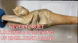 LOCKING AND UNLOCKING OF THE KNEE JOINT MADE INCREDIBLY EASY!