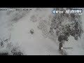 【萌寵】潑墨雪景！野生大貓熊雪中遛彎似水墨畫