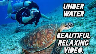 Natural Relaxing Under Water Video.