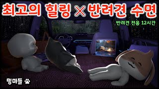 #멍마들  비 오는 날 차박💤 반려견의 푹신한 수면 영상! 🐕 (12시간) - A soft sleeping video of your dog!