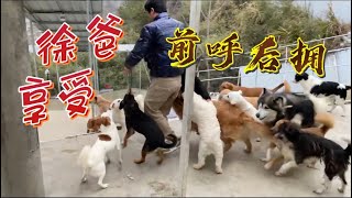 2022-2-19 Stray dogs rescue in Wuhan China 小伙两年时间救助上百条流浪狗，早已负债累累但是他每天都很开心。