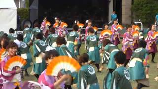 東京花火（湘南よさこい2013・優勝チーム再演舞・ストリートパフォーマンス部門・\