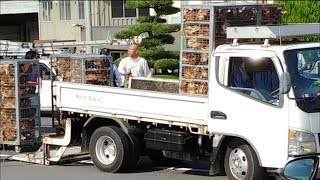 トラックがガードレールに衝突　ケージのニワトリが逃げ出す　岡山・久米南町