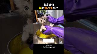 まさか猫を食べるの