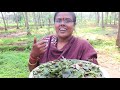 healthy curry leaves powder for idli dosai rice இட்லி தோசைக்கேற்ற சத்தான கருவேப்பிலை பொடி recipe