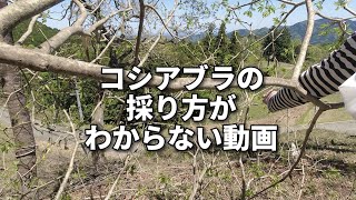 かーびーさんとつむぎてさんが来てくれました　山地酪農珠の牧