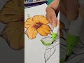 enjoy colouring🌺 flowerdrawing hibiscus easyflowerdrawing funart arttherapy beautifulflower art