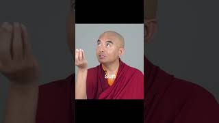 Meditation and Climate Change with Yongey Mingyur Rinpoche/Part 2