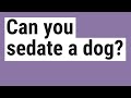 Can you sedate a dog?