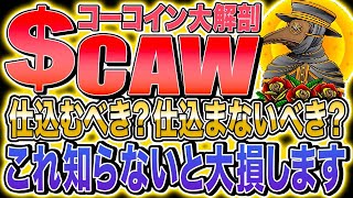 【謎多き仮想通貨CAW】イーロンマスクに騙されるな！CAWの３つの謎の真相＆買ってはいけない理由徹底解説！！！！【柴犬】【DOGE】【コーコイン】