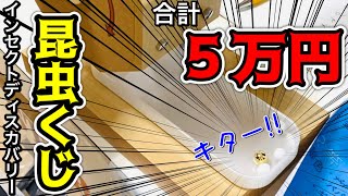 【大当たり！！】昆虫イベントで「５万円分の昆虫くじ」を皆んなでやった結果...