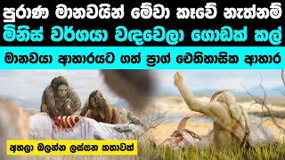 මේ කෑම මෙයාලා කෑවේ නැත්නම් අද ඔයා මම නෑ | Paleodiet : How it saved human species