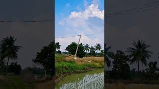 #పల్లెటూరు #పల్లెటూరి #నెల్లూరు #andhrapradesh #nature #village #villageshort #trendingshorts #yt