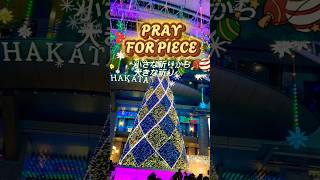 PRAY FOR PIECE❤️💚『光の街・博多』2024年11月1日(金)～2025年1月5日(日)③（2024.12.22 JR博多駅）