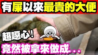 墨鏡哥｜你別不信！屎真的可以吃！還能靠賣屎賺錢！《屎前冷知識》｜墨名奇妙# 67上集｜冷知識