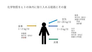 【食品栄養科学部】模擬授業（環境・雨谷敬史先生） / 静岡県立大学