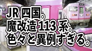 【魔改造】JR四国の113系をじっくりと観察してみる【クハ113?】