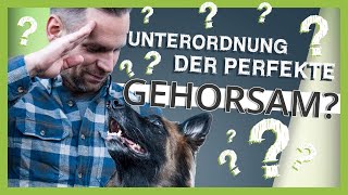 UNTERORDNUNG beim Hund – Der perfekte Gehorsam?