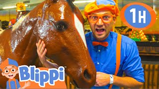 Blippi Explores Jungle Animals | 1 HOUR OF BLIPPI | Educational Videos For Kids | Blippi Toys