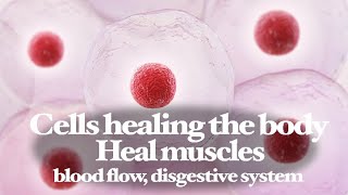 Cells healing - Heal muscles, blood flow and digestive system