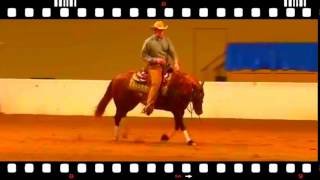 140227 Jarvis Anderson on Geewhiz Im Peppy NHO Score 73-5 Video Horse Racing