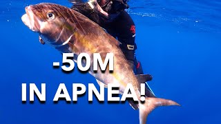 OLTRE 50M IN APNEA! PESCASUB AI GROSSI PREDATORI