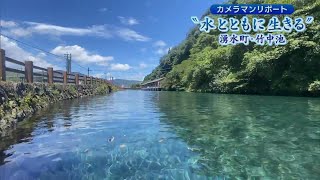 【カメラマンリポート】水とともに生きる ～湧水町・竹中池～ Jチャン＋特集(8月16日(水)放送)