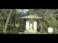 【京都旅】天龍寺、世界文化遺産、秋の曹源池庭園 tenryu ji temple kyoto japan