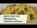 TARTUFO BIANCO, le 10 cose da sapere