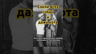 Экспедиция на грани жизни! Шеклтон! #интересное #история #рек #кино #рекомендации #shorts #факты